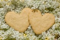 Shortbread delicious heart-shaped