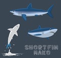 Shortfin Mako Cartoon Vector Illustration Royalty Free Stock Photo