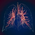 Shortness of breath, difficulty in breathing, acute and chronic dyspnea. Lungs x-ray. Pneumonia