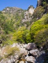 Shosenkyo Gorge in fresh green in Kofu, Yamanashi, Japan