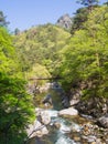 Shosenkyo Gorge in fresh green in Kofu, Yamanashi, Japan