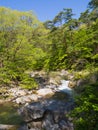 Shosenkyo Gorge in fresh green in Kofu, Yamanashi, Japan Royalty Free Stock Photo