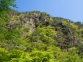 Shosenkyo Gorge in fresh green in Kofu, Yamanashi, Japan