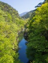 Shosenkyo Gorge in fresh green in Kofu, Yamanashi, Japan