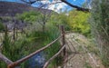 Trail at Shoshone spring