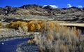 The Shoshone River and Dazzling Autumn Leaves Outside Cody, Wyoming Royalty Free Stock Photo