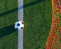 Shot from above on the ball on the soccer goal line. Royalty Free Stock Photo