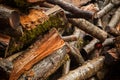 An abstract image of cut and stacked firewood Royalty Free Stock Photo