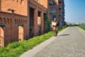 Shot of an adult male walking down the street holding a package on a sunny day