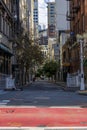 A shot of an alleyway between two buildings with lush green trees, tall light posts, blue sky and clouds at Union Square Royalty Free Stock Photo