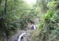 Shot of Argyle waterfalls in the Caribbean, Roxborough, Trinidad & Tobago Royalty Free Stock Photo