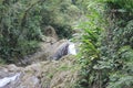 Shot of Argyle waterfalls in the Caribbean, Roxborough, Trinidad & Tobago Royalty Free Stock Photo