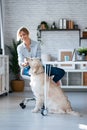 Attractive young woman caring her beautiful dog while working with laptop in living room at home Royalty Free Stock Photo