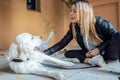 Attractive young woman caring and playing with her beautiful golden retriever dog while sitting on the floor in the park Royalty Free Stock Photo