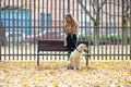 Attractive young woman sending messages with her smart phone while sitting on bench with her lovely dog in the park in autumn Royalty Free Stock Photo