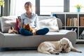 Attractive young woman using mobile phone while sitting in couch with her dogs and cat in living room at home Royalty Free Stock Photo