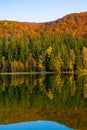 Shot of autumn scenery of Lake Saint Ann in Romania, lush colorful trees reflected in the water Royalty Free Stock Photo