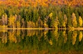 Shot of autumn scenery of Lake Saint Ann in Romania, lush colorful trees reflected in the water Royalty Free Stock Photo