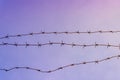 shot of a barbed wire fencing security against clear blue sky Royalty Free Stock Photo