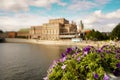 Shot of beautiful flowers in Kungstradgarden Stockholm Sweden Royalty Free Stock Photo