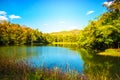 Tropical forest with small lake scene nature background