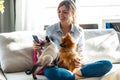 Beautiful young woman playing with her cute dog and cat while using mobile phone sitting on couch in living room at home Royalty Free Stock Photo