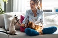 Beautiful young woman playing with her cute dog and cat while using mobile phone sitting on couch in living room at home Royalty Free Stock Photo