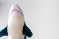 Shark teddy shot from below with room for text to the right