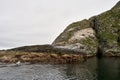 Shot of bird colony of Black-legged kittiwake on a small rocky island, close to Gjesvaier, Norway