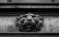 Lion bust on the wall Royalty Free Stock Photo
