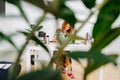 Shot through brabches image of woman with curly ginger hair drawing with a brush Royalty Free Stock Photo