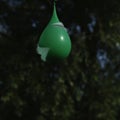 Shot Breaking Water Filled Green Balloon