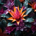shot of a Bromeliad plant, showcasing its vibrant, tropical blooms by AI generate