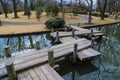 A shot of a brown wooden foot bridge over a still green lake in a Japanese garden surrounded by yellow winter grass Royalty Free Stock Photo