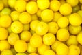 A shot of a bucket of freshly picked ripe yellow, small plums