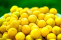 A shot of a bucket of freshly picked ripe yellow, small plums