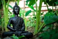 A shot of a buddha statue sitting in a lotus pose surrounded with green plants and trees Royalty Free Stock Photo