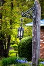 Old lantern attached to wooden pole with nature