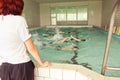 Elementary school children within swimming skills lesson.