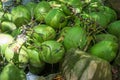 Shot of coconut fruit on the floor Royalty Free Stock Photo
