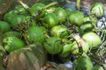 Shot of coconut fruit on the floor Royalty Free Stock Photo