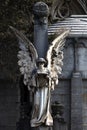 Reading angel protecting the grave