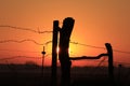 Kansas colorful Orange Sunset with a Fenceline Silhouette in the country. Royalty Free Stock Photo