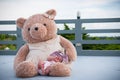 A shot of a cute baby girl with purple headband while sleeping and playing with big teddy bear on the rooftop / Focus at infant g