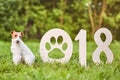 Adorable happy fox terrier dog at the park 2018 new year greetin Royalty Free Stock Photo