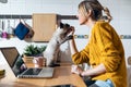 Cute lovely cat playing on the table while her smiling owner working with laptop in the kitchen at home Royalty Free Stock Photo