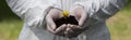 Shot of ecologist in latex gloves holding handful of soil with dandelion