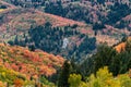 Shot of an elephant rock in Bountiful, Utah, the USA in a fall composition