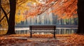 Natural Pause: The Lone Bench Basking in the Autumnal Splendor of Fallen Leaves