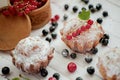 Shot of english muffin blueberry and red or black currant and sugar.